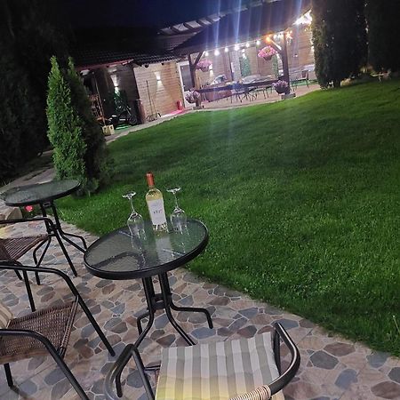 Hotel Vila Maria Sasciori Sebes Exteriér fotografie