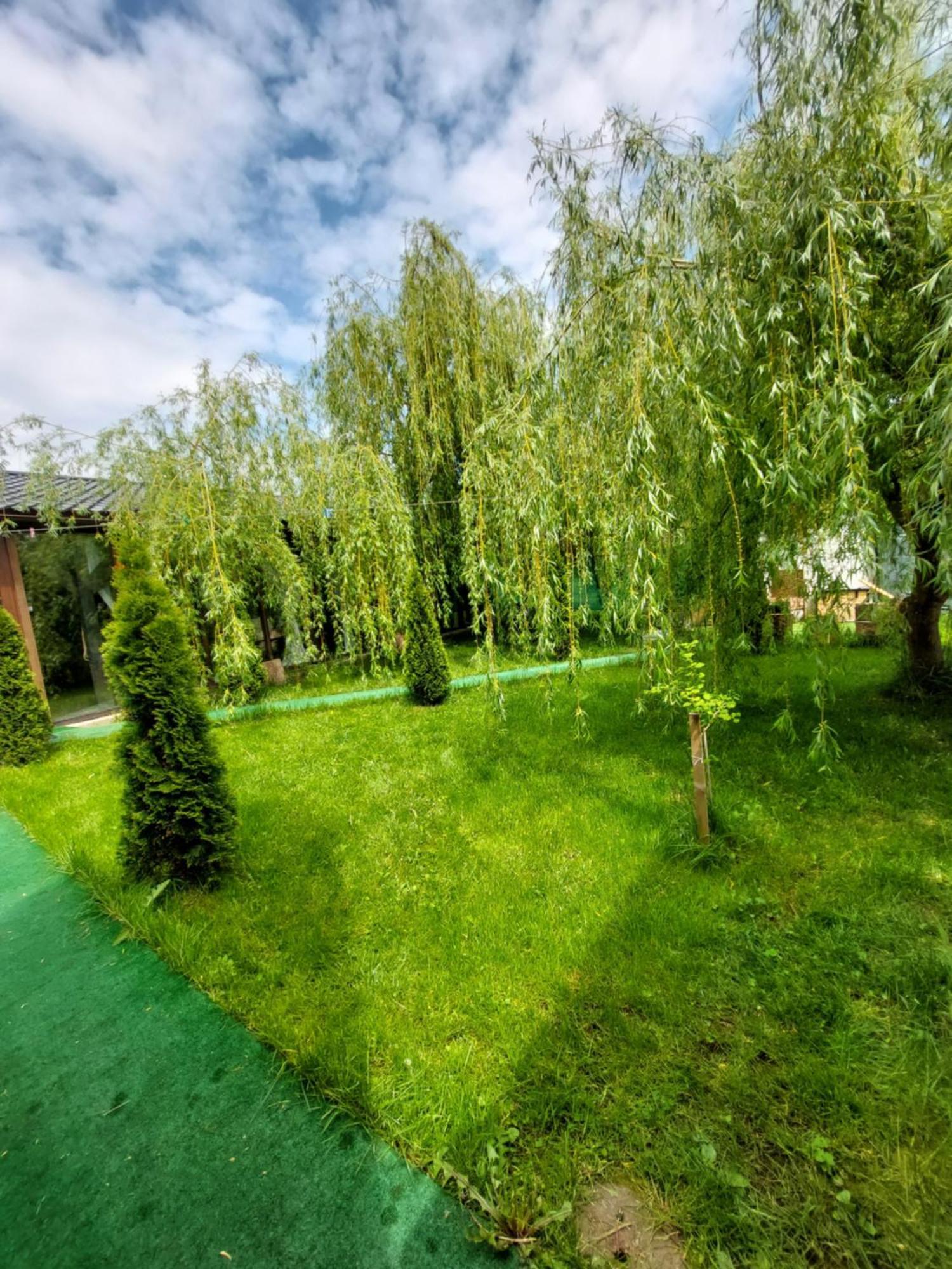 Hotel Vila Maria Sasciori Sebes Pokoj fotografie