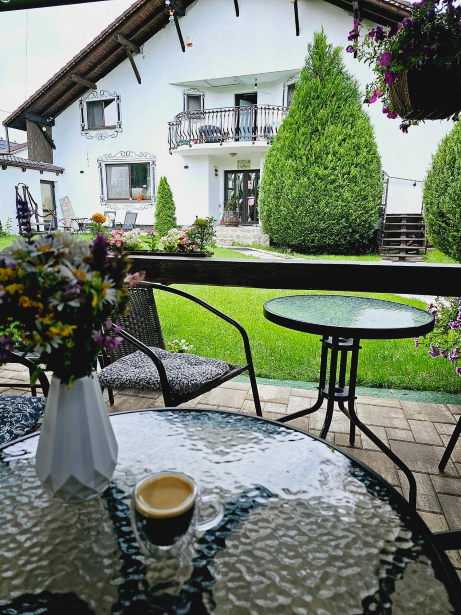 Hotel Vila Maria Sasciori Sebes Pokoj fotografie
