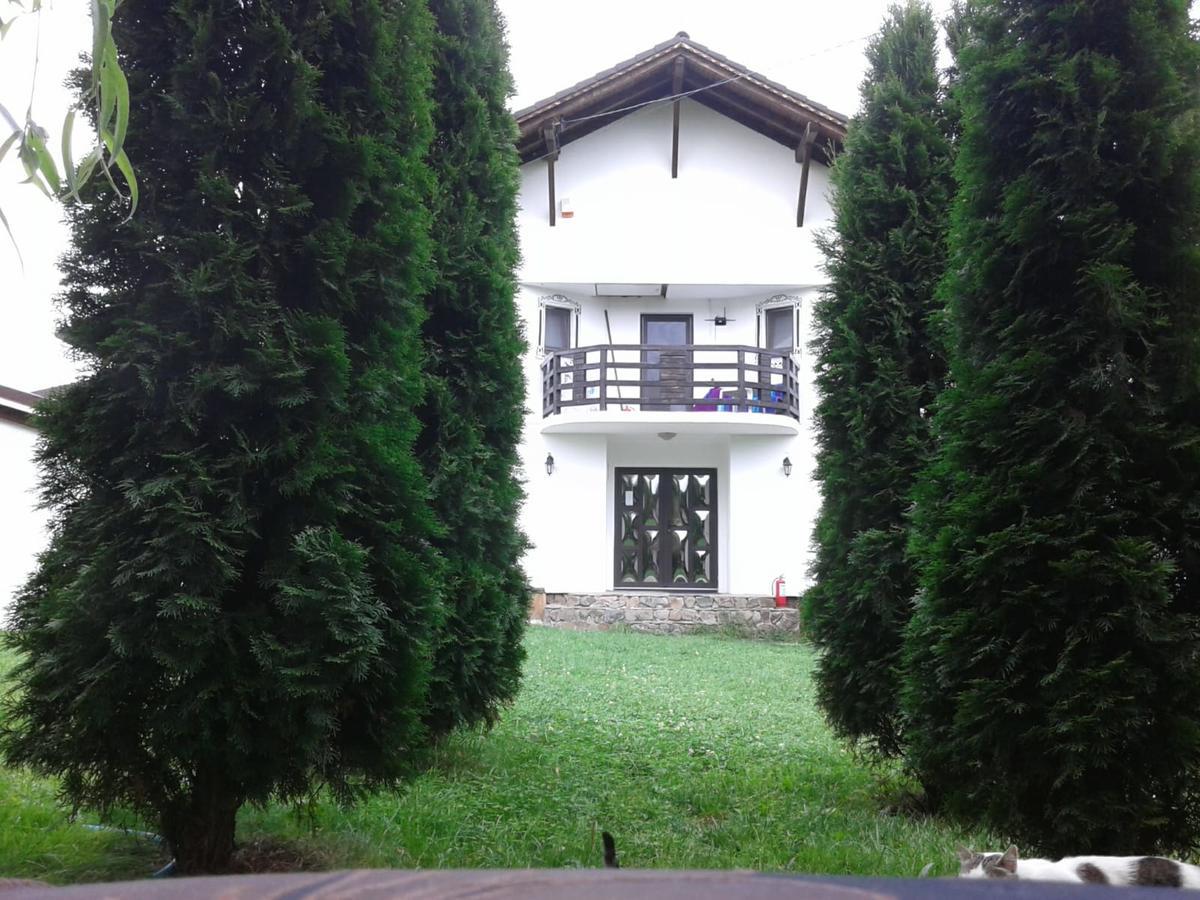 Hotel Vila Maria Sasciori Sebes Exteriér fotografie