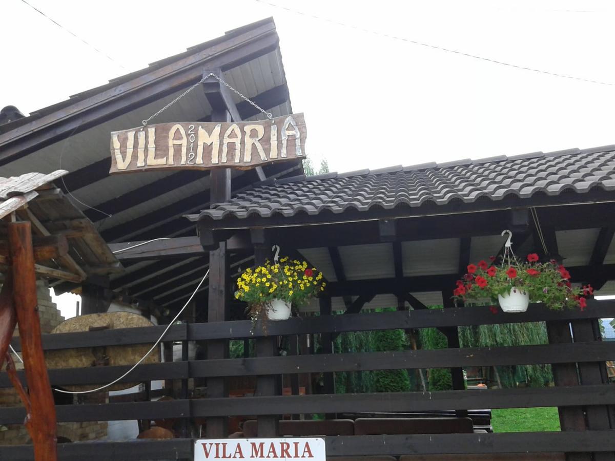 Hotel Vila Maria Sasciori Sebes Exteriér fotografie