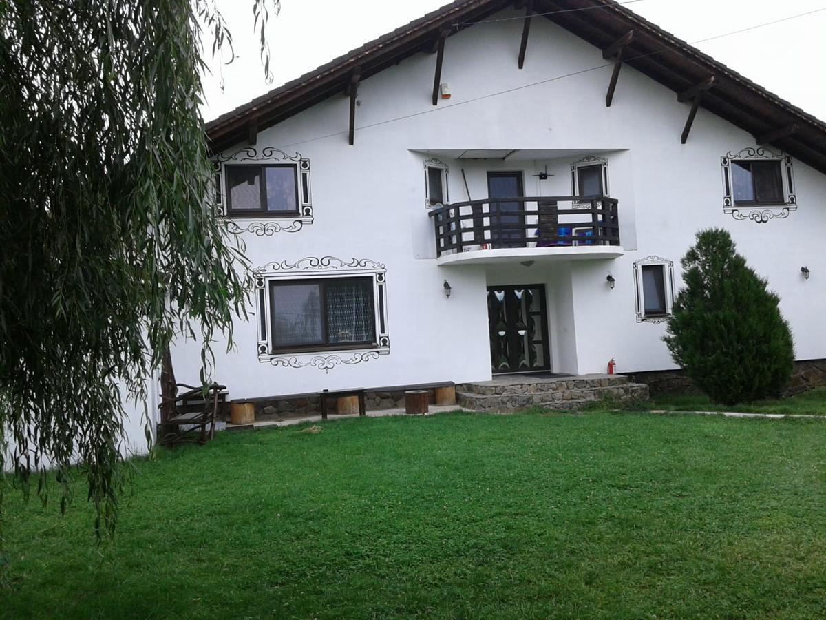 Hotel Vila Maria Sasciori Sebes Exteriér fotografie